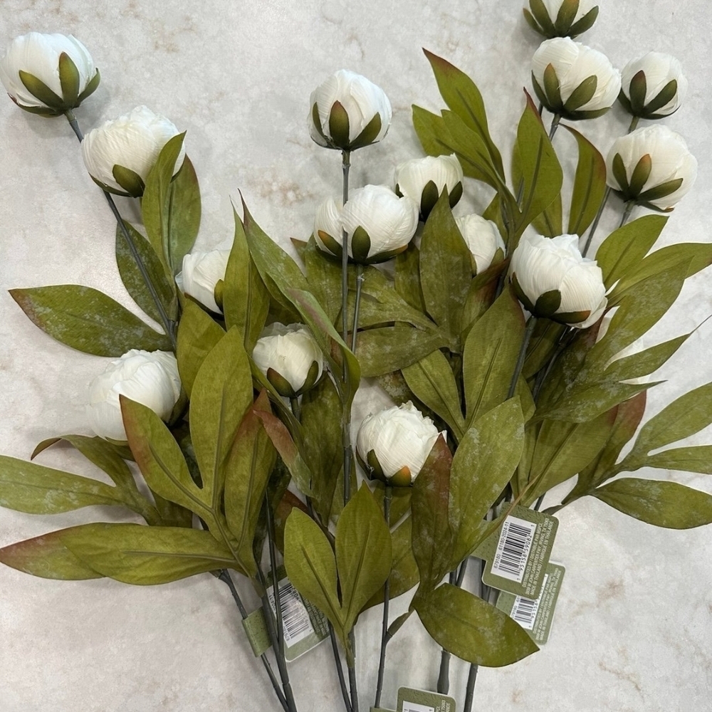 Cream Peony Stem by Ashland